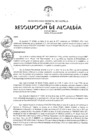Vista preliminar de documento 2017-251