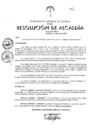 Vista preliminar de documento 2017-313