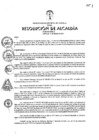 Vista preliminar de documento 2017-457