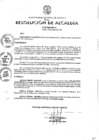 Vista preliminar de documento 2020-007