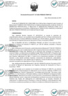 Vista preliminar de documento Resolucion_Directoral_117-2021-DE.pdf