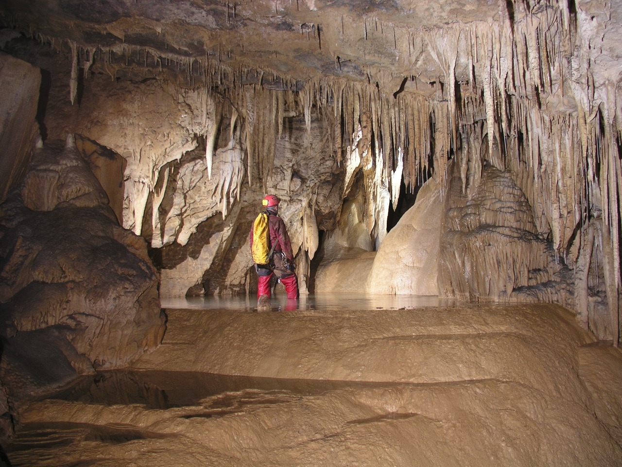 Cuevas de Palestina