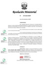 Vista preliminar de documento rm_378_2022_mimp