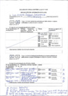 Vista preliminar de documento Declaración Jurada - PCM (actualizada el 24 de diciembre)