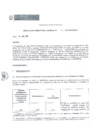 Vista preliminar de documento precedente sider