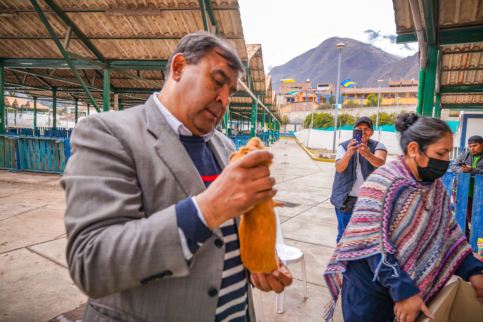 Municipalidad Provincial de Urubamba entrega módulos de cuyes a personas con discapacidad