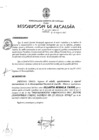 Vista preliminar de documento 2015-462