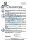 Vista preliminar de documento R.A 338.pdf