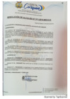 Vista preliminar de documento Resolución de Alcaldia N° 011-2019-MDCC.pdf