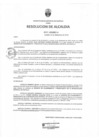 Vista preliminar de documento 417-2018