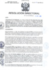 Vista preliminar de documento RD N°387-2022-DG-HMA 1.pdf