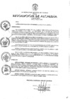 Vista preliminar de documento 2020-208