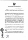 Vista preliminar de documento Resolucion_Directoral_029-2019-DE.pdf