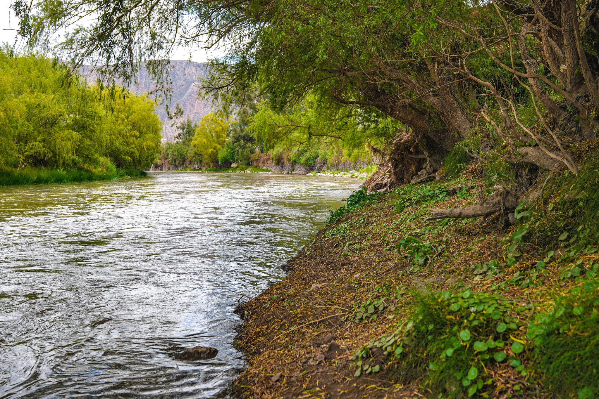 Exitosa campaña "Te quiero limpio mi Vilcanota" realiza la Municipalidad Provincial de Urubamba para limpieza del Río Sagrado de los Incas
