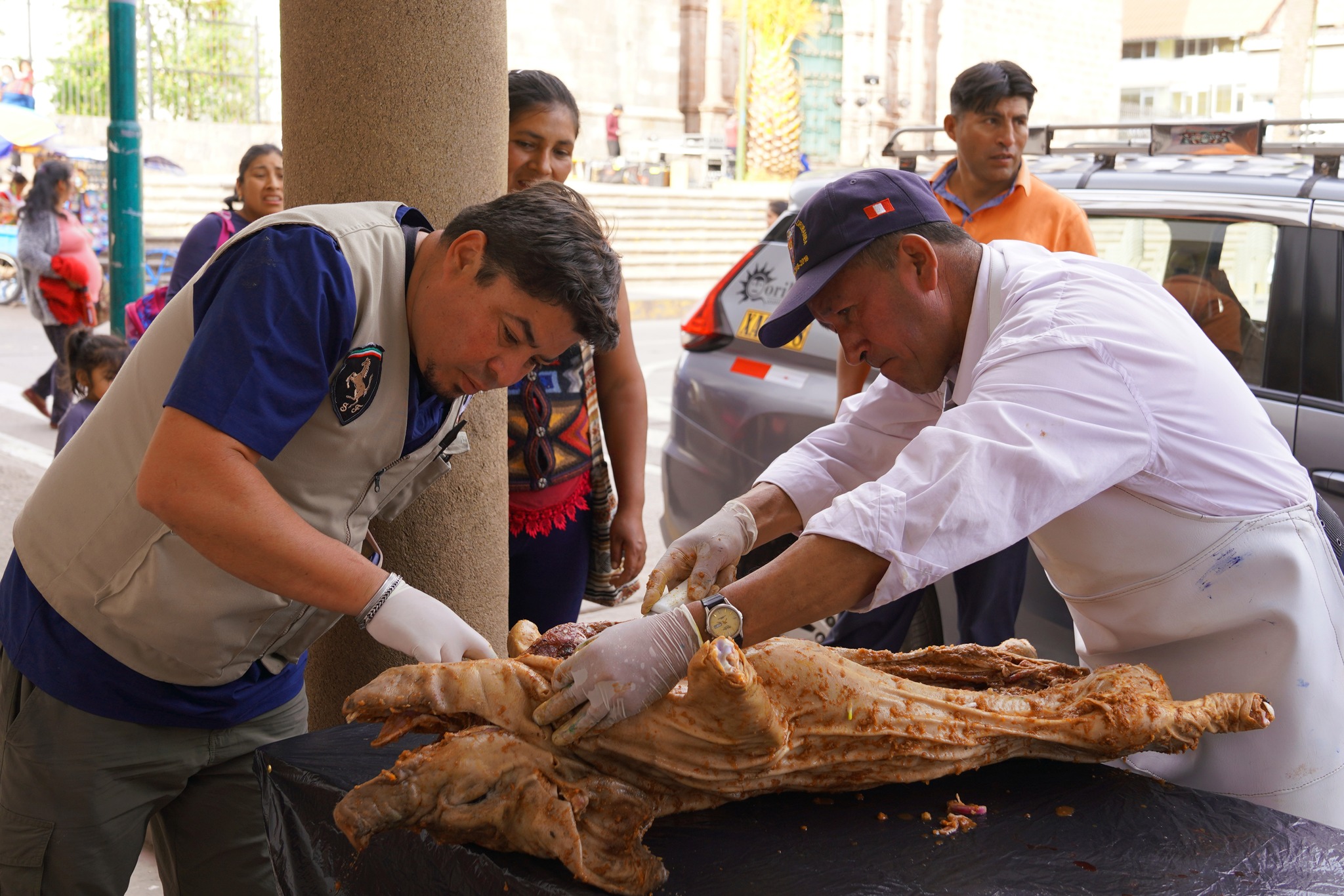 Municipalidad de Urubamba realiza control y sellado de carcasa de carne de cerdo