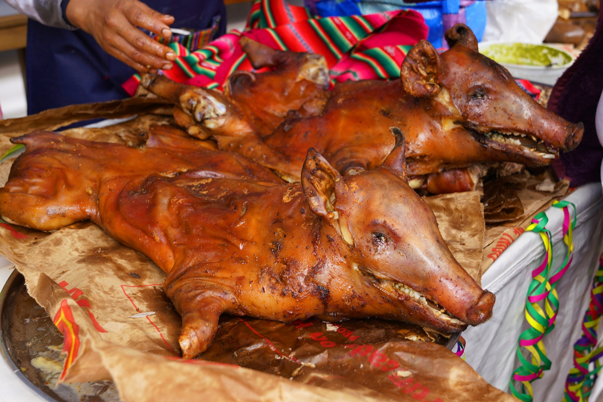 Con éxito la Municipalidad Provincial de Urubamba realiza Festival del Lechón y Tantawawa
