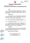 Vista preliminar de documento RESOLUCION DE SUPERINTENDENCIA 000306-2022-MIGRACIONES