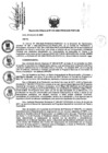 Vista preliminar de documento Resolucion_Directoral_015-2020-DE.pdf