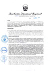 Vista preliminar de documento RDR N° 1078-2022