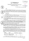 Vista preliminar de documento RGSRLS N°098-2022.pdf