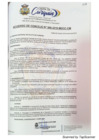 Vista preliminar de documento Acuerdo de Consejo N° 006-2019-MDCC.pdf