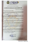 Vista preliminar de documento Acuerdo de Concejo N° 020-2019-MDCC.pdf