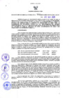 Vista preliminar de documento Resolución Dirección General de Construcciones 133-2020-Dirección General de Construcción - DGC