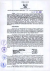 Vista preliminar de documento Resolución Dirección General de Construcciones 116-2020-Dirección General de Construcción - DGC