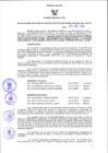 Vista preliminar de documento Resolución Dirección General de Construcciones 115-2020-Dirección General de Construcción - DGC
