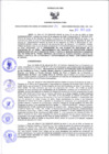 Vista preliminar de documento Resolución Dirección General de Construcciones 114-2020-Dirección General de Construcción - DGC