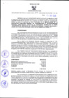 Vista preliminar de documento Resolución Dirección General de Construcciones 108-2020-Dirección General de Construcción - DGC