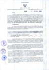 Vista preliminar de documento Resolución Dirección General de Construcciones 237-2019-Dirección General de Construcción - DGC