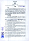 Vista preliminar de documento Resolución Dirección General de Construcciones 242-2019-Dirección General de Construcción - DGC
