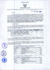 Vista preliminar de documento Resolución Dirección General de Construcciones 233-2019-Dirección General de Construcción - DGC