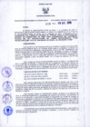 Vista preliminar de documento Resolución Dirección General de Construcciones 229-2019-Dirección General de Construcción - DGC