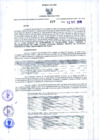 Vista preliminar de documento Resolución Dirección General de Construcciones 227-2019-Dirección General de Construcción - DGC
