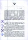 Vista preliminar de documento Resolución Dirección General de Construcciones 205-2019-Dirección General de Construcción - DGC