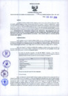 Vista preliminar de documento Resolución Dirección General de Construcciones 196-2019-Dirección General de Construcción - DGC