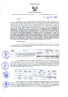 Vista preliminar de documento Resolución Dirección General de Construcciones 203-2019-Dirección General de Construcción - DGC