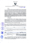 Vista preliminar de documento Resolución Dirección General de Construcciones 204-2019-Dirección General de Construcción - DGC