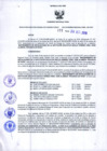 Vista preliminar de documento Resolución Dirección General de Construcciones 191-2019-Dirección General de Construcción - DGC