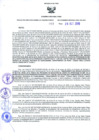 Vista preliminar de documento Resolución Dirección General de Construcciones 193-2019-Dirección General de Construcción - DGC