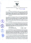 Vista preliminar de documento Resolución Dirección General de Construcciones 188-2019-Dirección General de Construcción - DGC