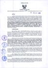 Vista preliminar de documento Resolución Dirección General de Construcciones 177-2019-Dirección General de Construcción - DGC