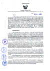 Vista preliminar de documento Resolución Dirección General de Construcciones 176-2019-Dirección General de Construcción - DGC