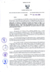 Vista preliminar de documento Resolución Dirección General de Construcciones 33-2019-Dirección General de Construcción - DGC