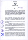 Vista preliminar de documento Resolución Dirección General de Construcciones 31-2019-Dirección General de Construcción - DGC