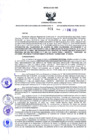 Vista preliminar de documento Resolución Dirección General de Construcciones 1-2019-Dirección General de Construcción - DGC