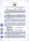 Vista preliminar de documento Resolución Dirección General de Construcciones 3-2019-Dirección General de Construcción - DGC