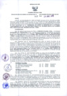 Vista preliminar de documento Resolución Dirección General de Construcciones 357-2018-Dirección General de Construcción - DGC